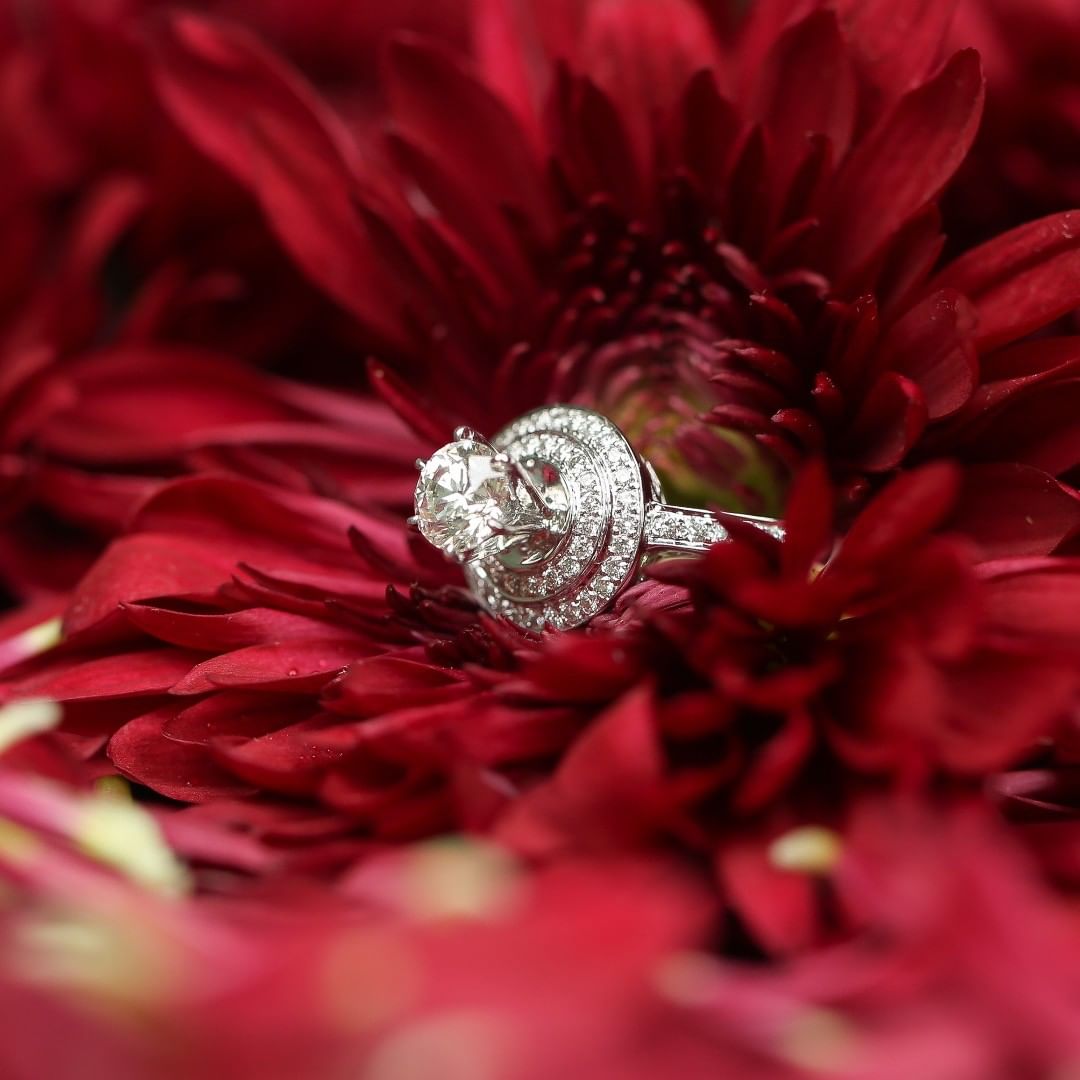 How to choose the perfect diamond engagement ring – Social Diary