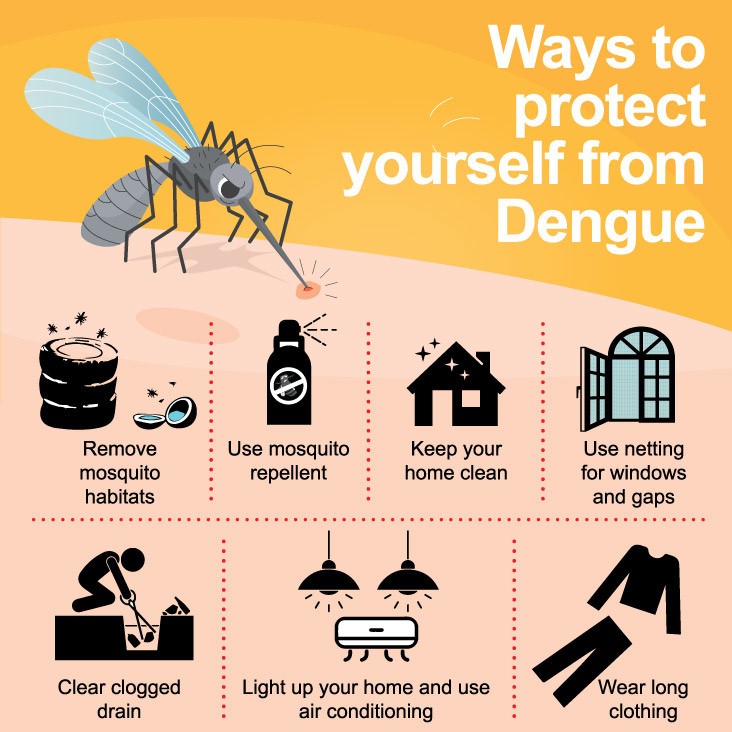 How To Protect Ourselves From Dengue