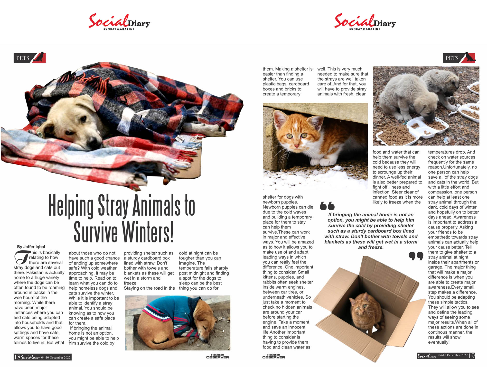 Helping Stray Animals to Survive Winters! – Social Diary