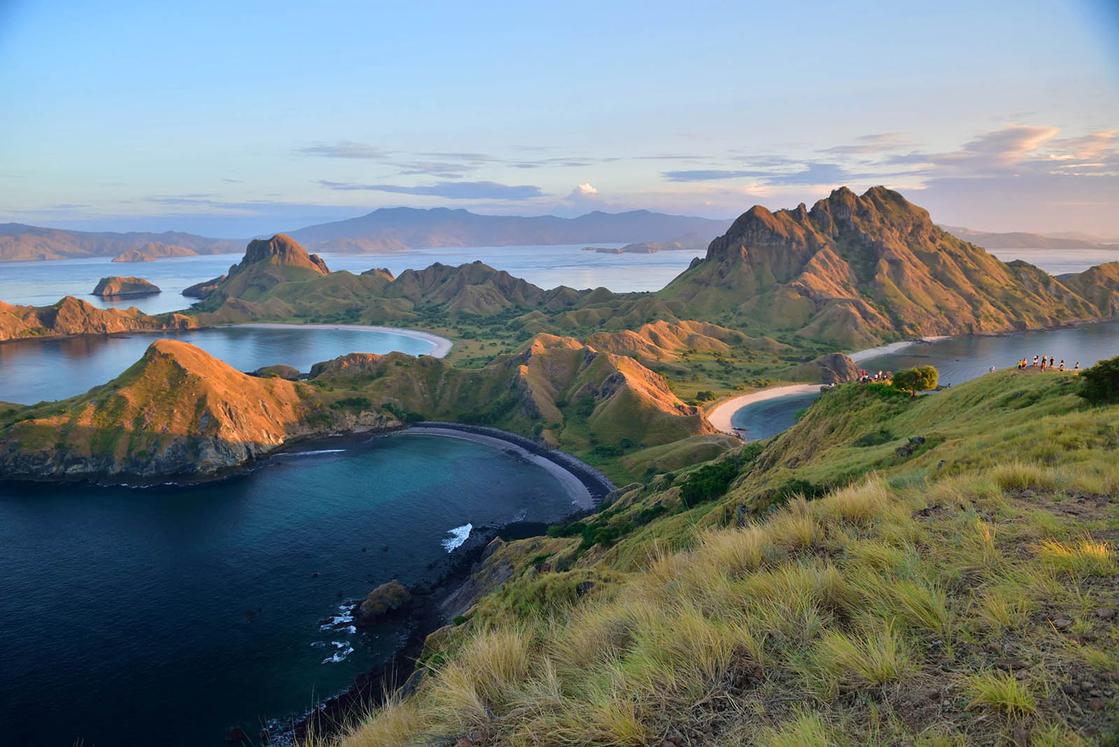 Komodo Island: Exploring the Realm of Dragons - Social Diary Magazine