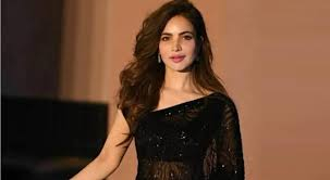 The Tragic Hidden Truth Behind Humaira Asghar Ali’s Death in Karachi Apartment