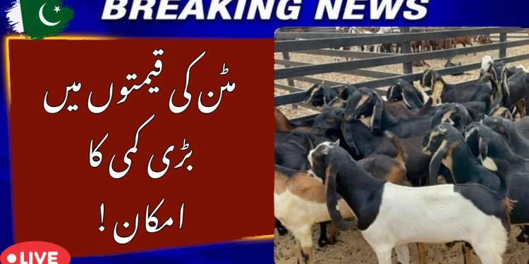 Mutton Prices in Pakistan May Drop
